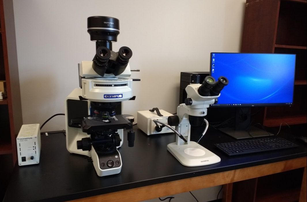 Olympus microscope photography station